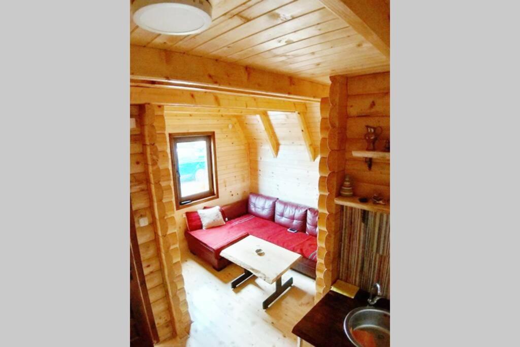 Villa Pinecone à Žabljak Extérieur photo