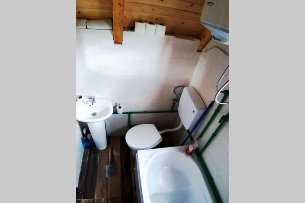 Villa Pinecone à Žabljak Extérieur photo