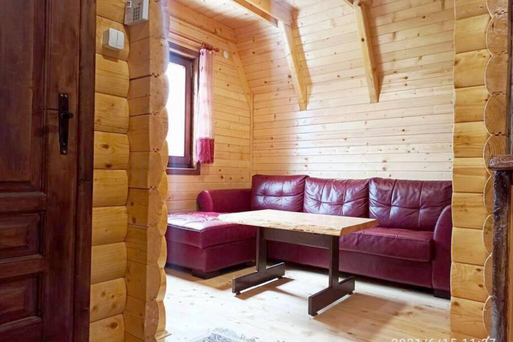 Villa Pinecone à Žabljak Extérieur photo