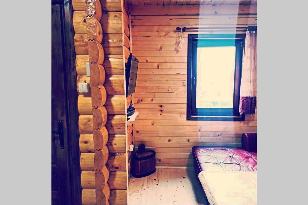 Villa Pinecone à Žabljak Extérieur photo