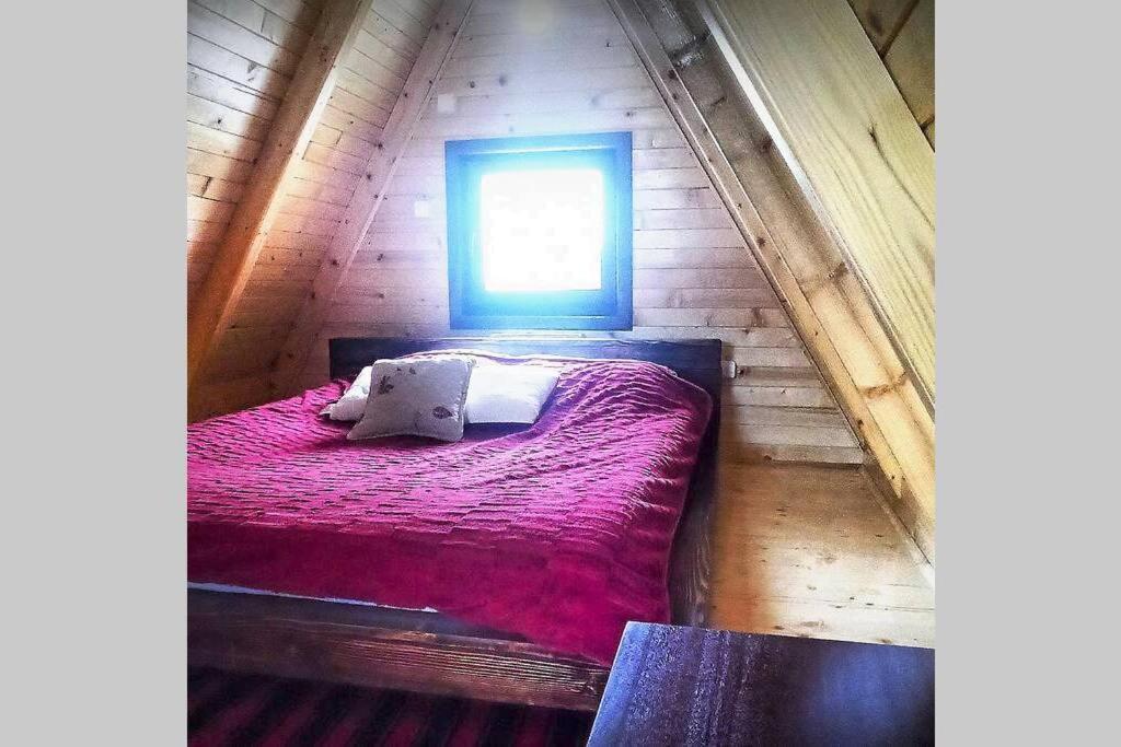Villa Pinecone à Žabljak Extérieur photo