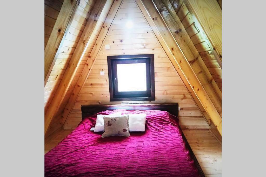 Villa Pinecone à Žabljak Extérieur photo