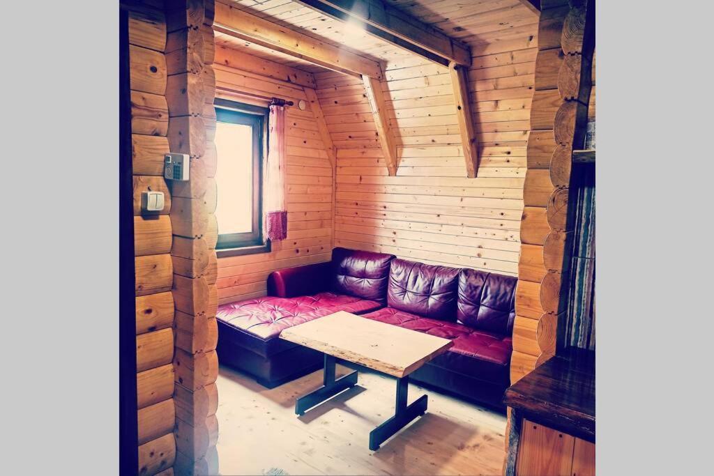 Villa Pinecone à Žabljak Extérieur photo