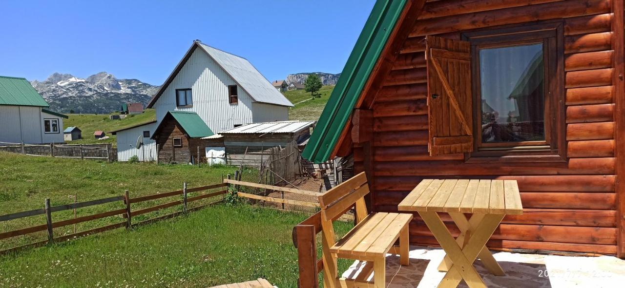 Villa Pinecone à Žabljak Extérieur photo